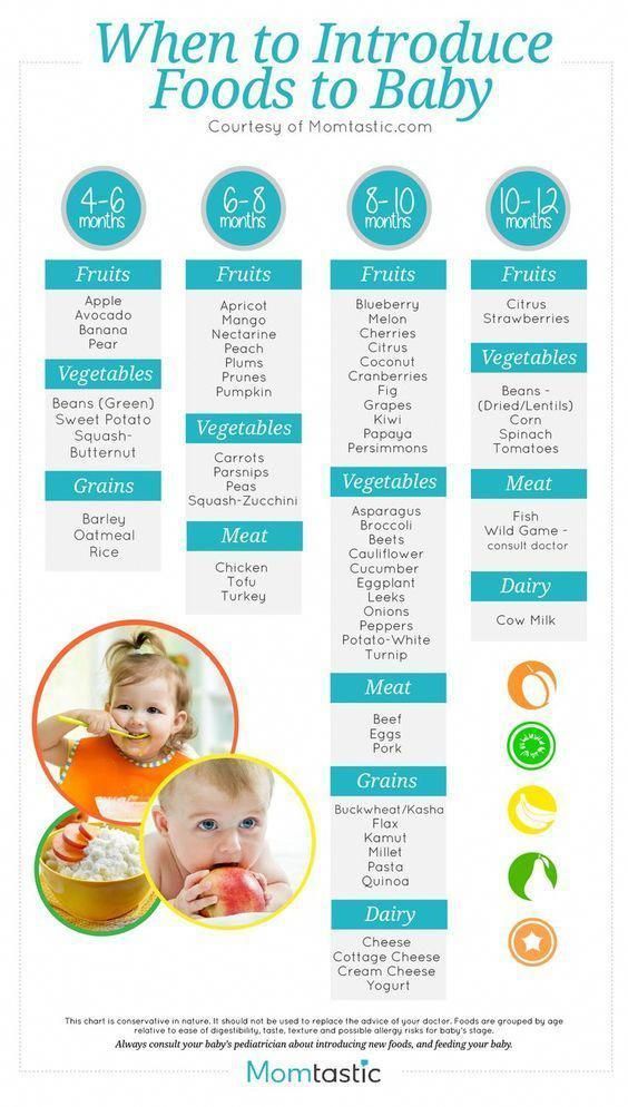 a baby's food list with the words when to introduce foods to baby