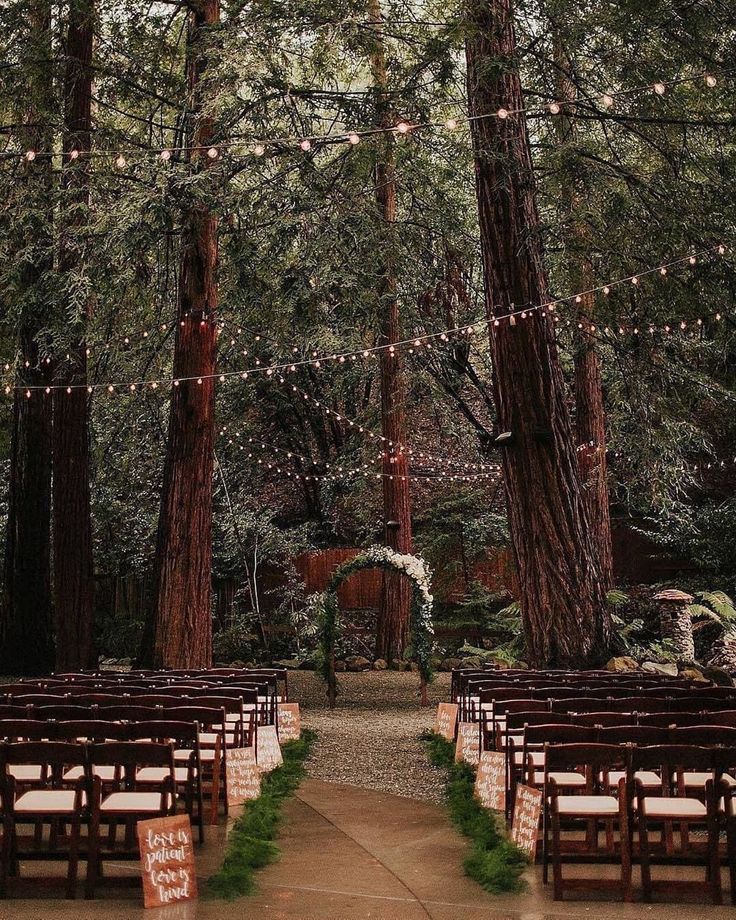 an outdoor wedding ceremony in the woods with lights strung from trees and wooden pews