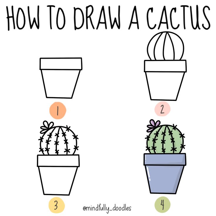 how to draw a cactus step by step instructions for kids and beginners with pictures