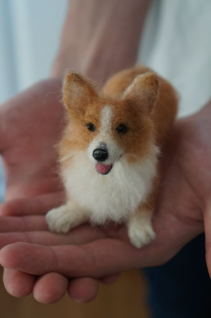 a small toy dog sitting on someone's hand