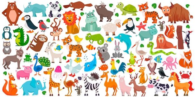 a large group of different types of animals