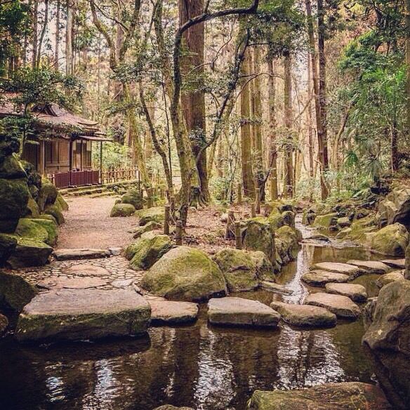 a stream running through a forest filled with rocks