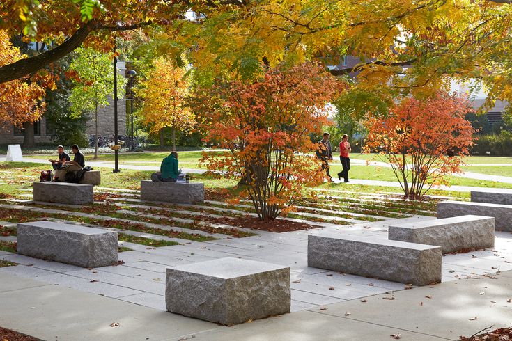 people sitting on benches in the middle of a park with trees and leaves around them