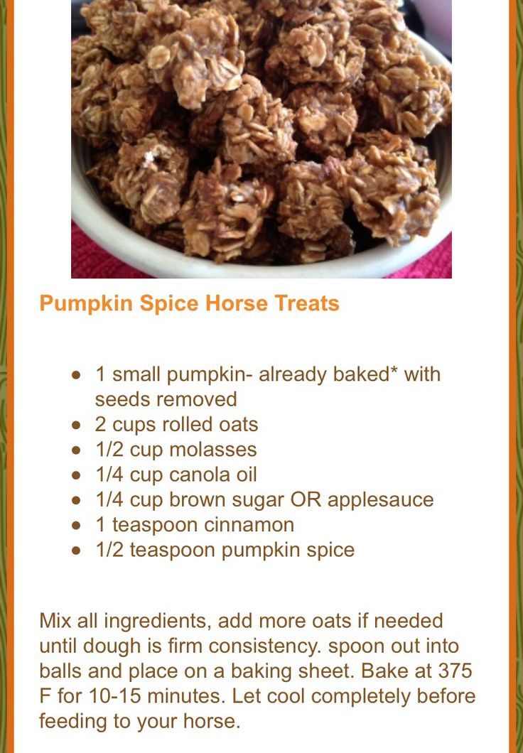 a recipe for pumpkin spice horse treats