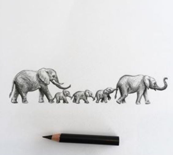 a pencil drawing of an elephant family with two baby elephants in the middle and one adult walking behind them