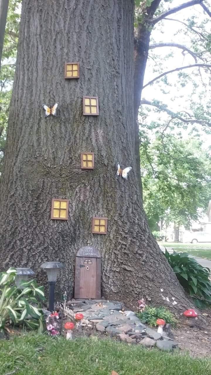 a tree house built into the trunk of a large tree