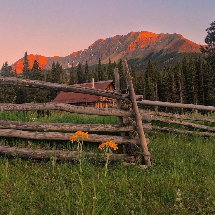 a wooden fence in front of a mountain range with flowers growing on the grass near it