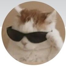 an orange and white cat wearing black sunglasses