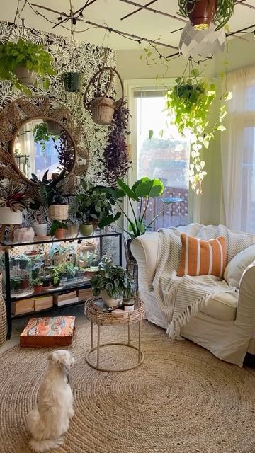 a living room filled with furniture and lots of plants