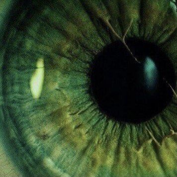 an extreme close up view of the iris of a green eye