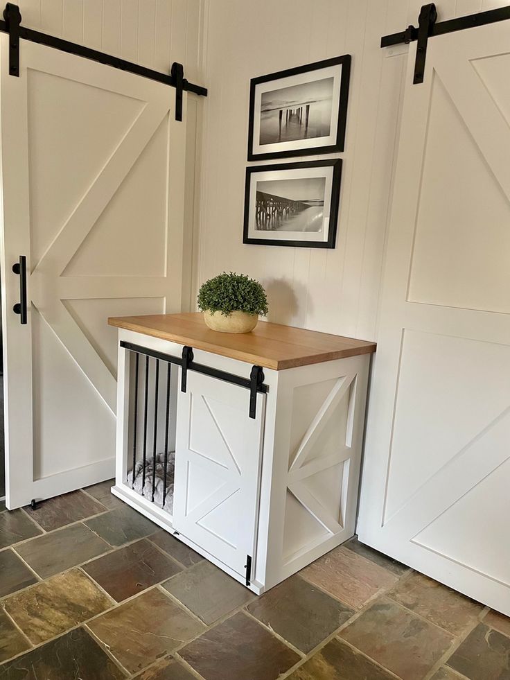 a table with a potted plant sitting on top of it next to two doors