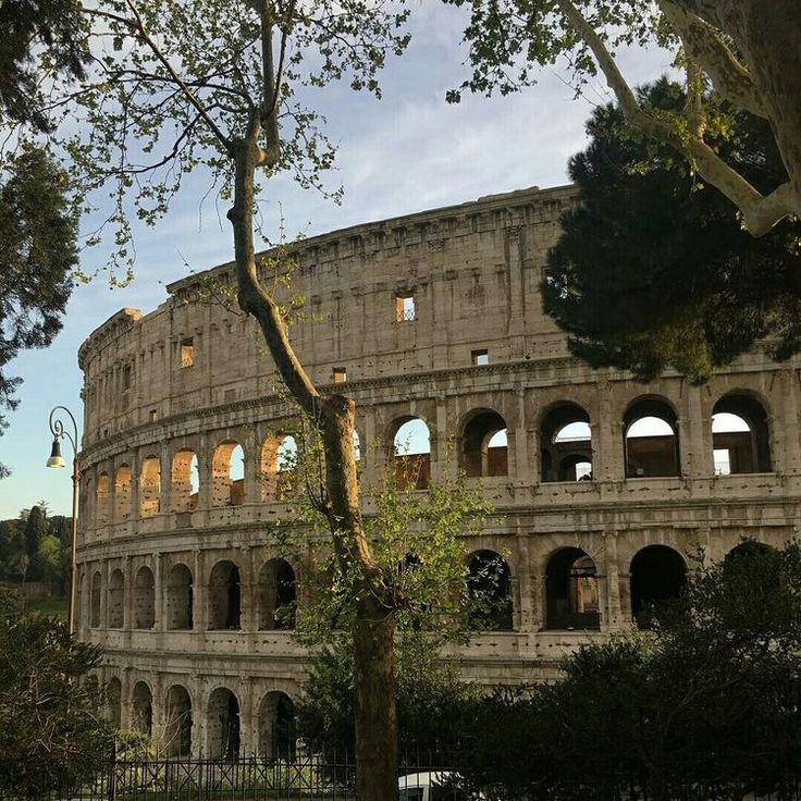 an old roman collise with trees in front of it