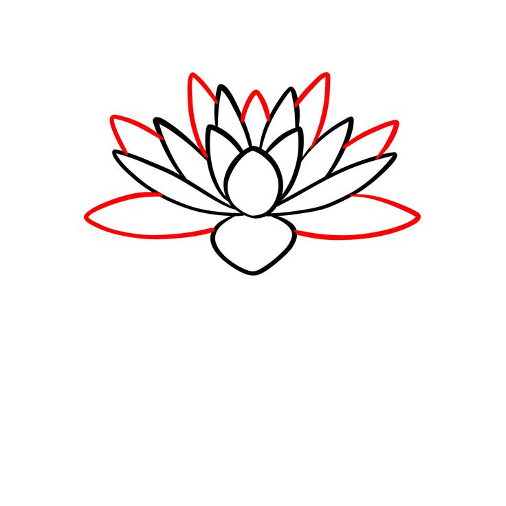 a drawing of a lotus flower with red and black lines on the petals, as well as a heart