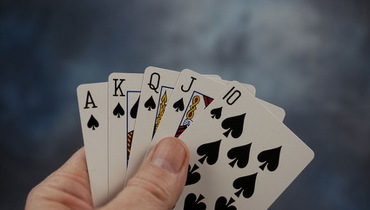 a person holding four playing cards in their hand