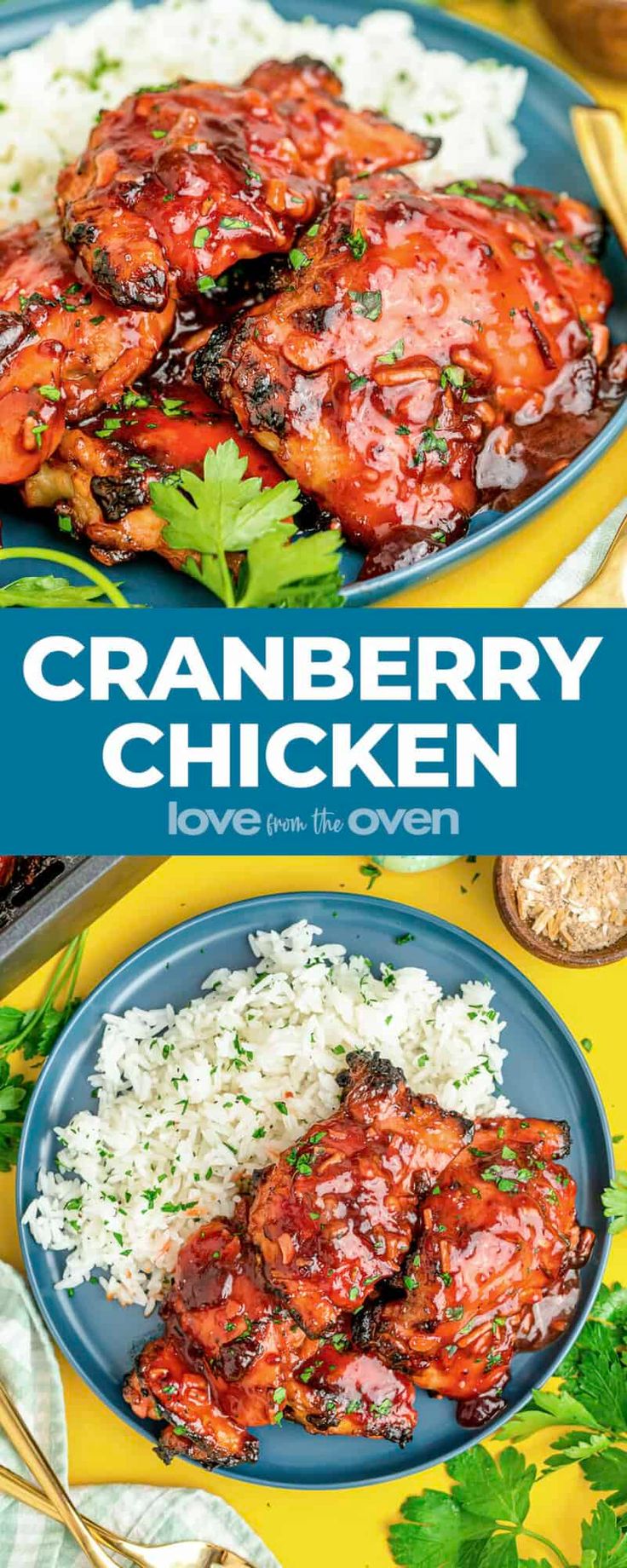 cranberry chicken on a plate with rice and parsley