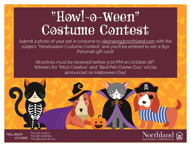 a halloween costume contest flyer with three cats and two dogs in costumes, one is wearing a