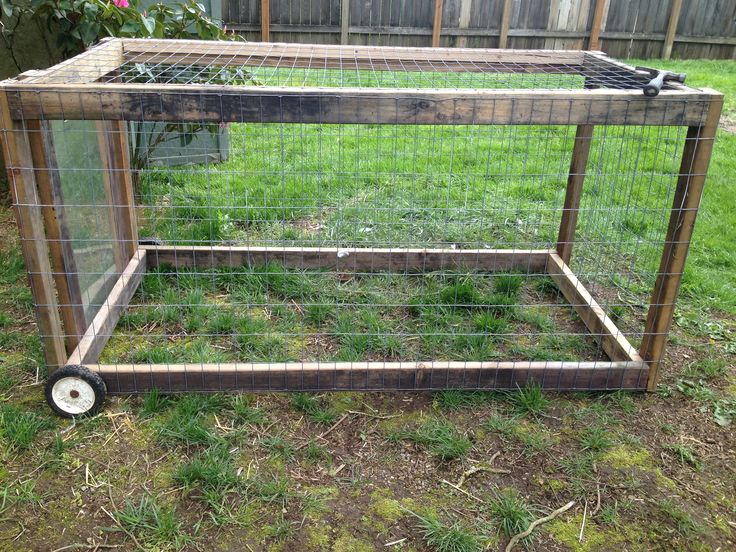 a small cage with wheels on the grass