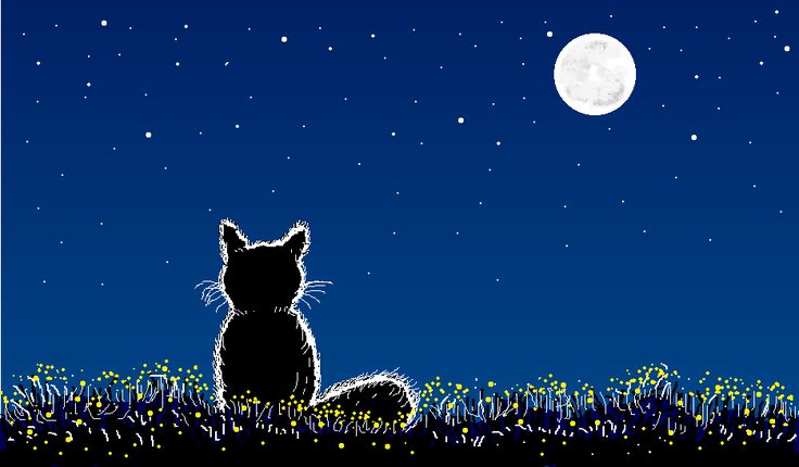 a cat is sitting in the grass watching the moon go down on it's side