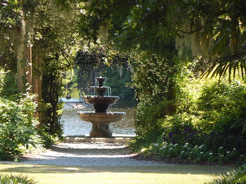 an outdoor fountain surrounded by trees and bushes