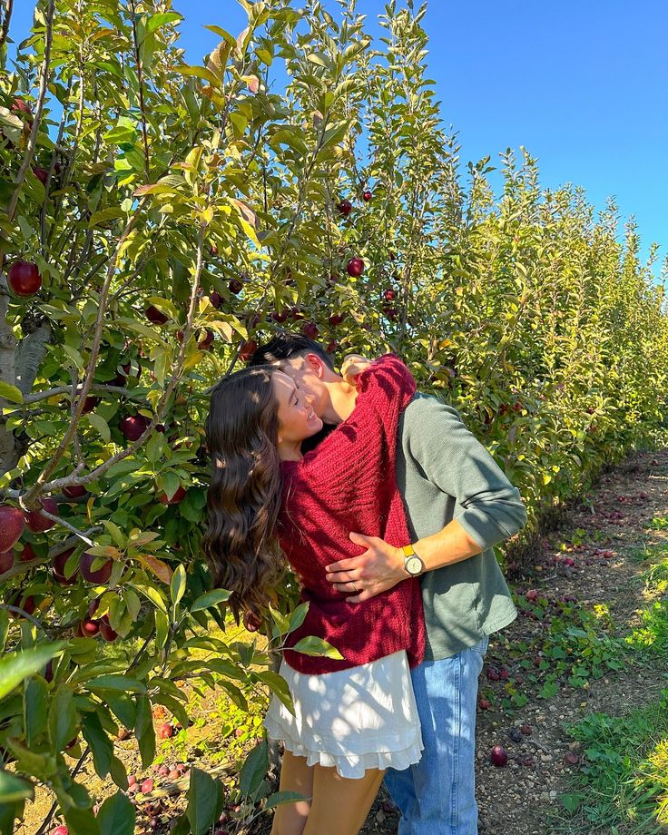 a man and woman are kissing in an apple tree orchard with lots of fruit on the trees