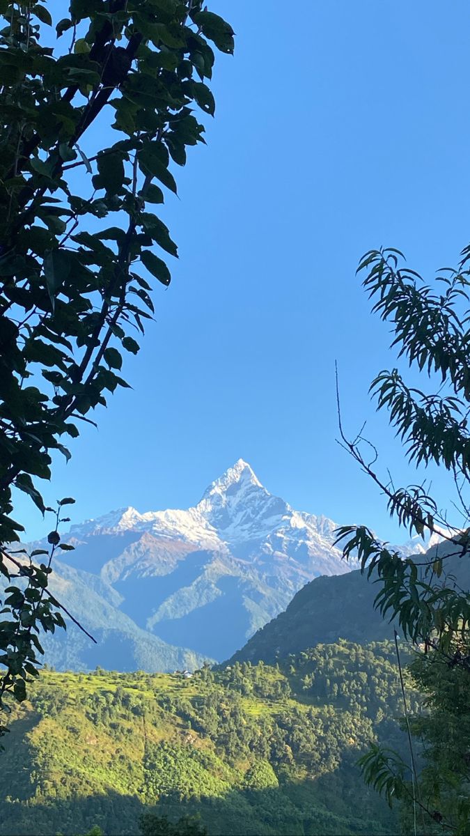 the mountains are covered in green trees and snow capped mountain tops, with blue skies above them