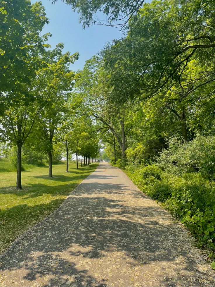 a dirt road surrounded by trees and grass