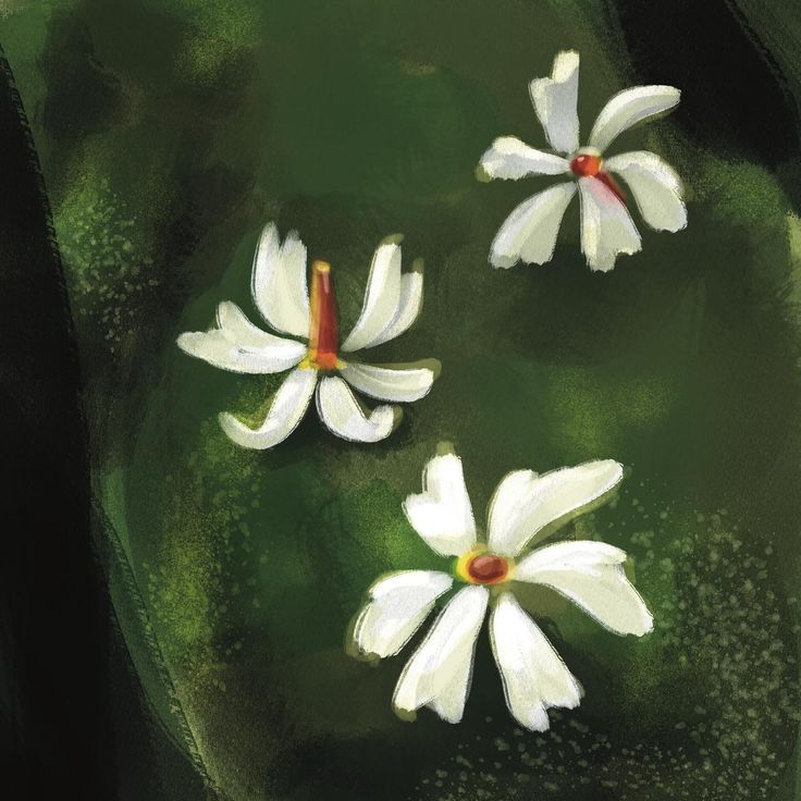 three white flowers floating on top of green water