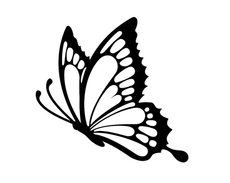 a black and white butterfly silhouette on a white background