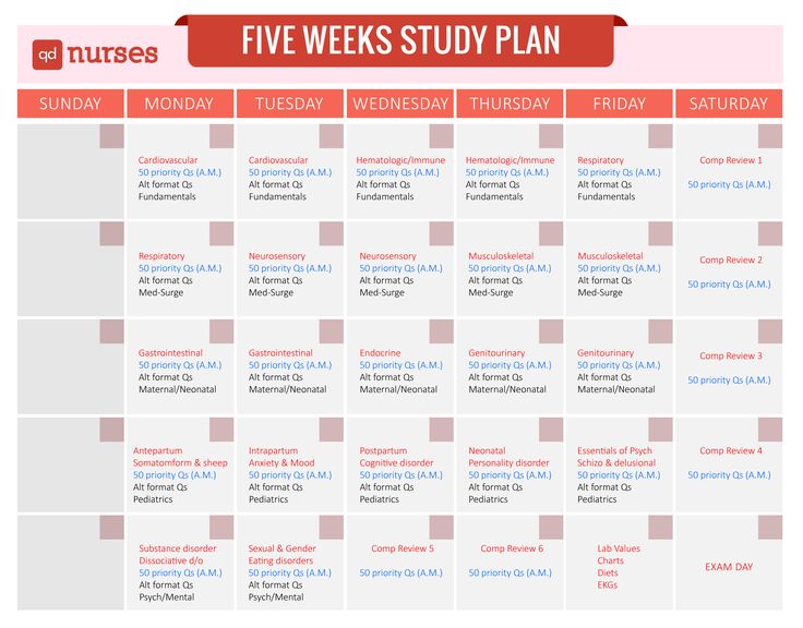 the five week study plan is shown in red and white, as well as an image of