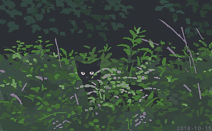 a black cat is hiding in the tall green grass with weeds and plants around it