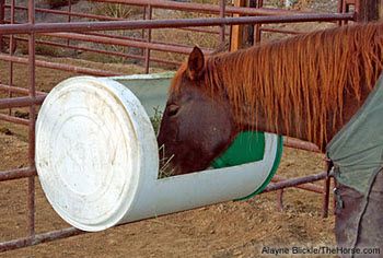 a brown horse eating hay out of a plastic container on top of a metal fence