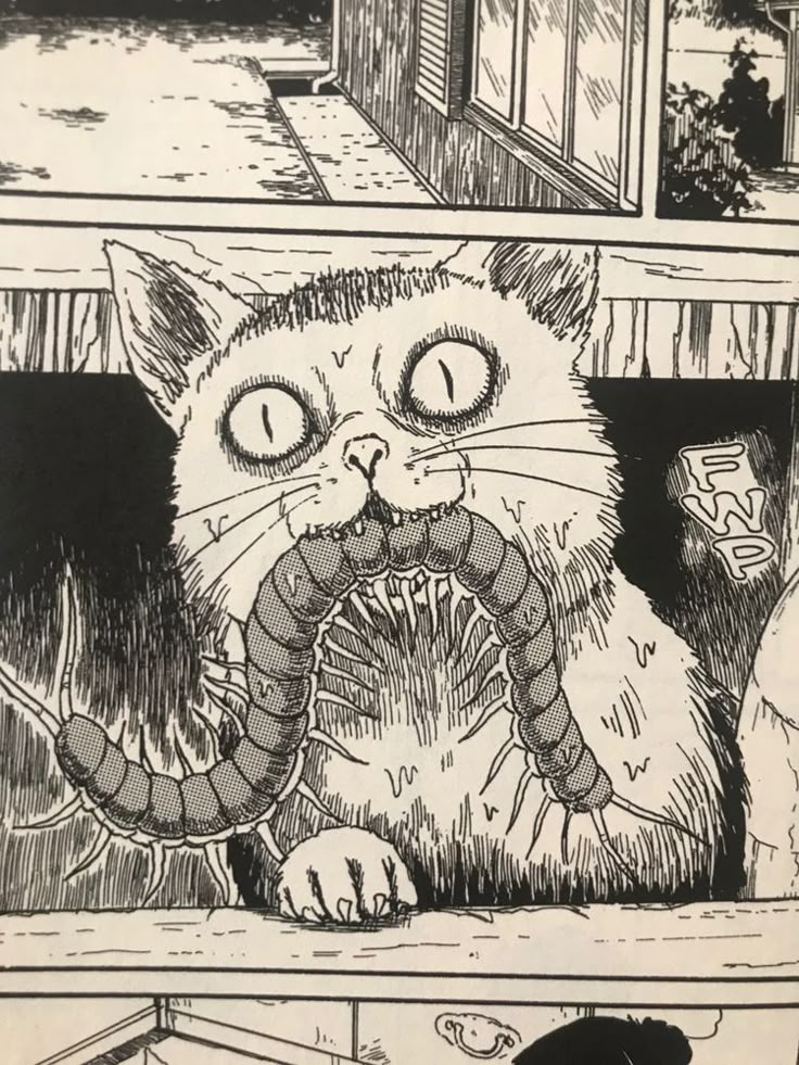 an image of a cat that is in the middle of a comic strip with its mouth open