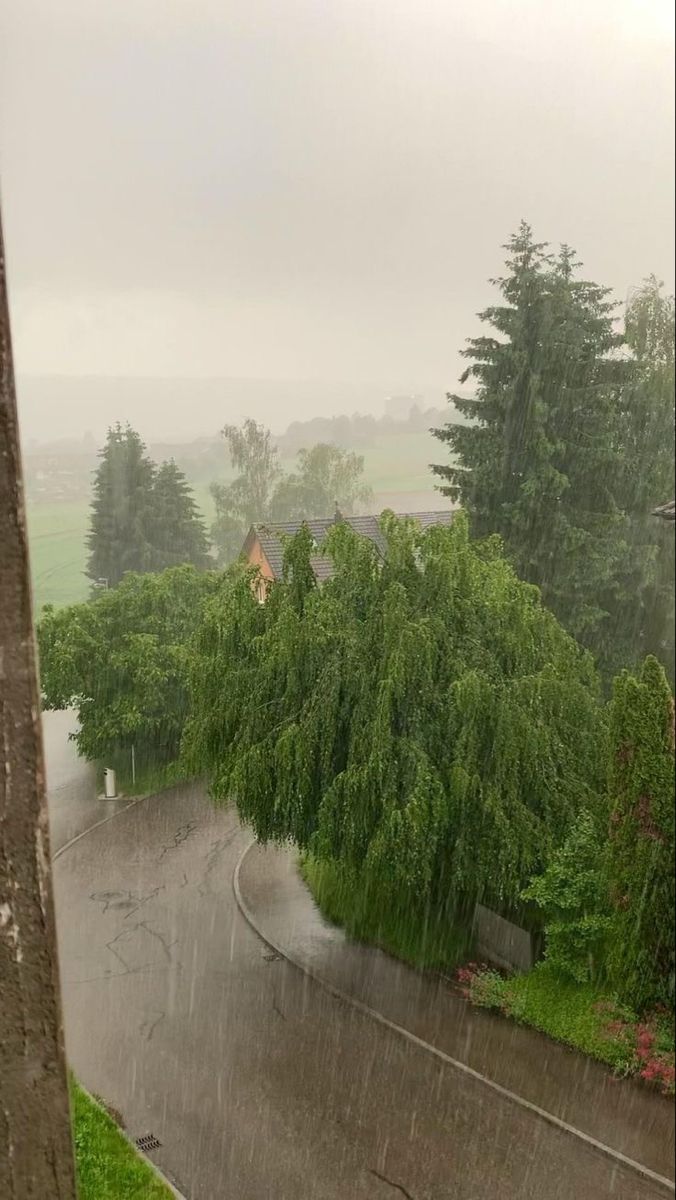 an image of rain coming down on the street and trees in the background with houses