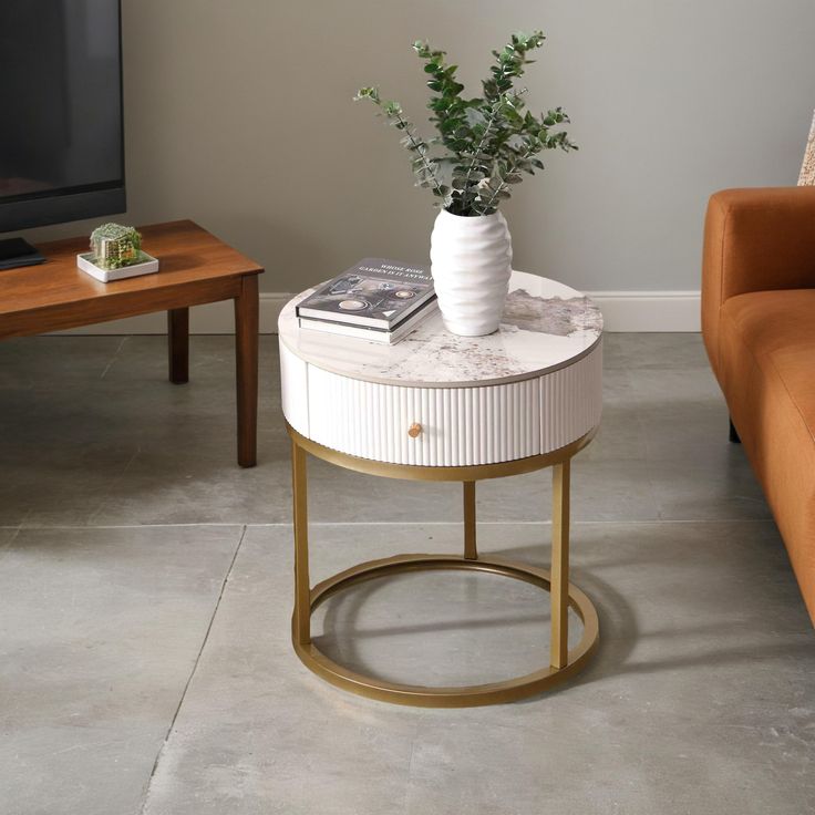 a living room with two couches and a table that has a plant on it