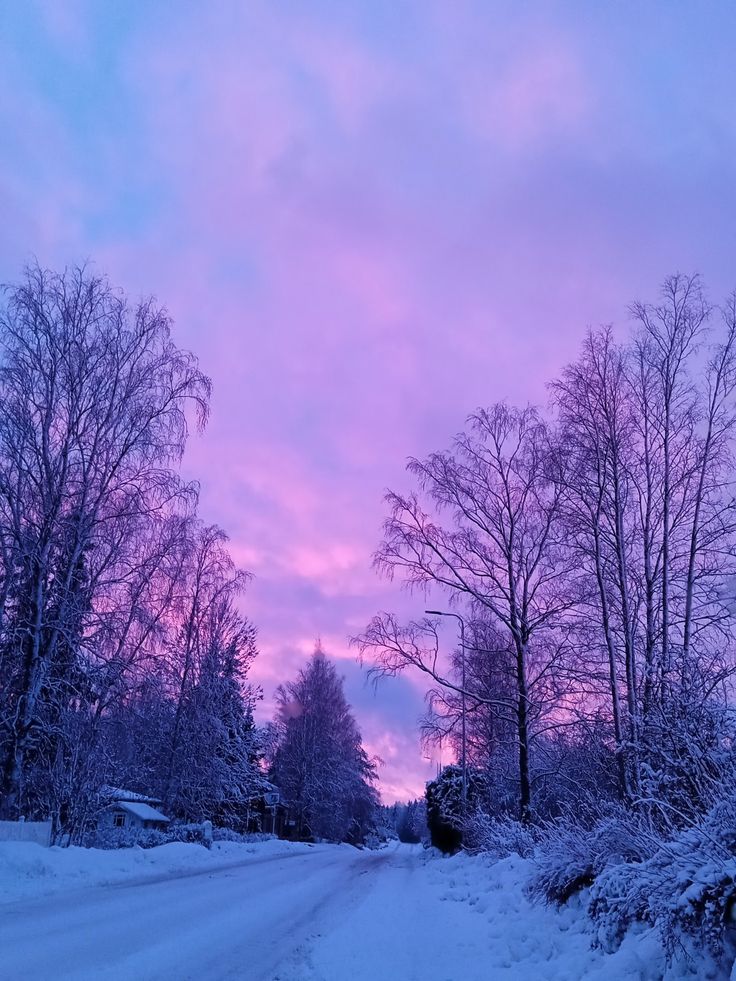 the road is covered in snow and trees