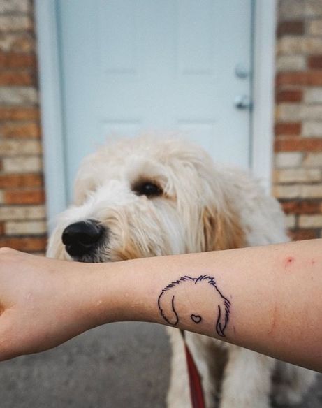 a small dog is on the arm of a person who is holding their hand out