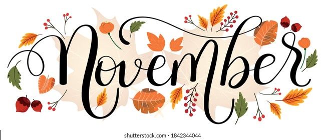 the word november written in calligraphy surrounded by leaves and acorns on a white background