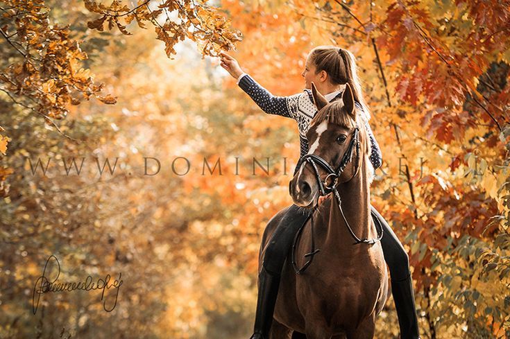 a woman riding on the back of a brown horse through a forest filled with trees