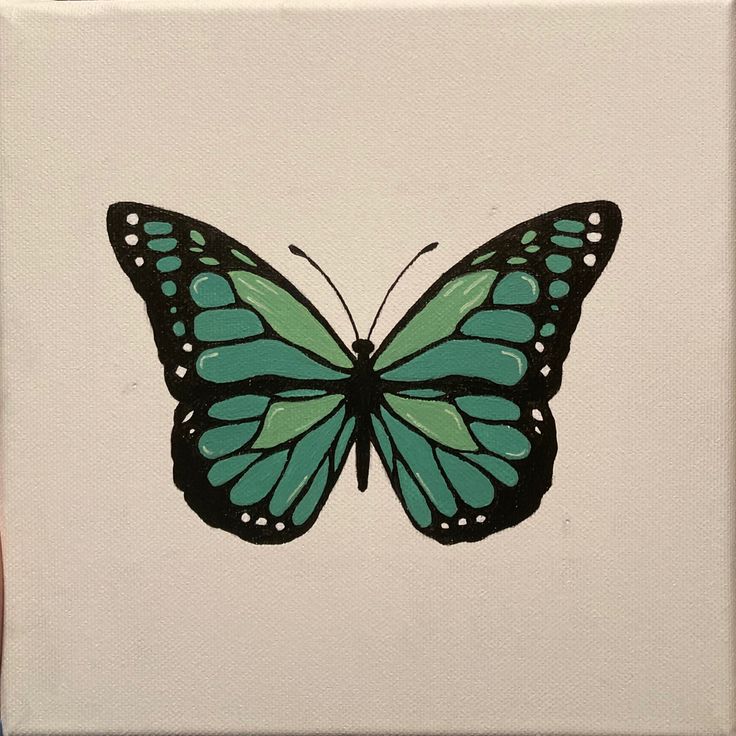 a painting of a green butterfly on a white square with black outline and blue wings