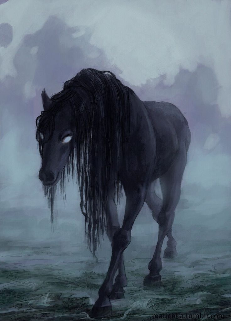 a black horse with long hair walking through the water on a foggy day by itself