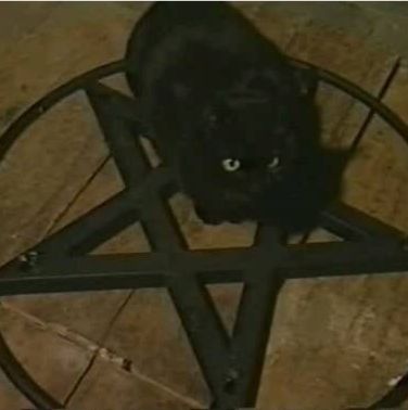 a black cat sitting in the middle of a pentagram