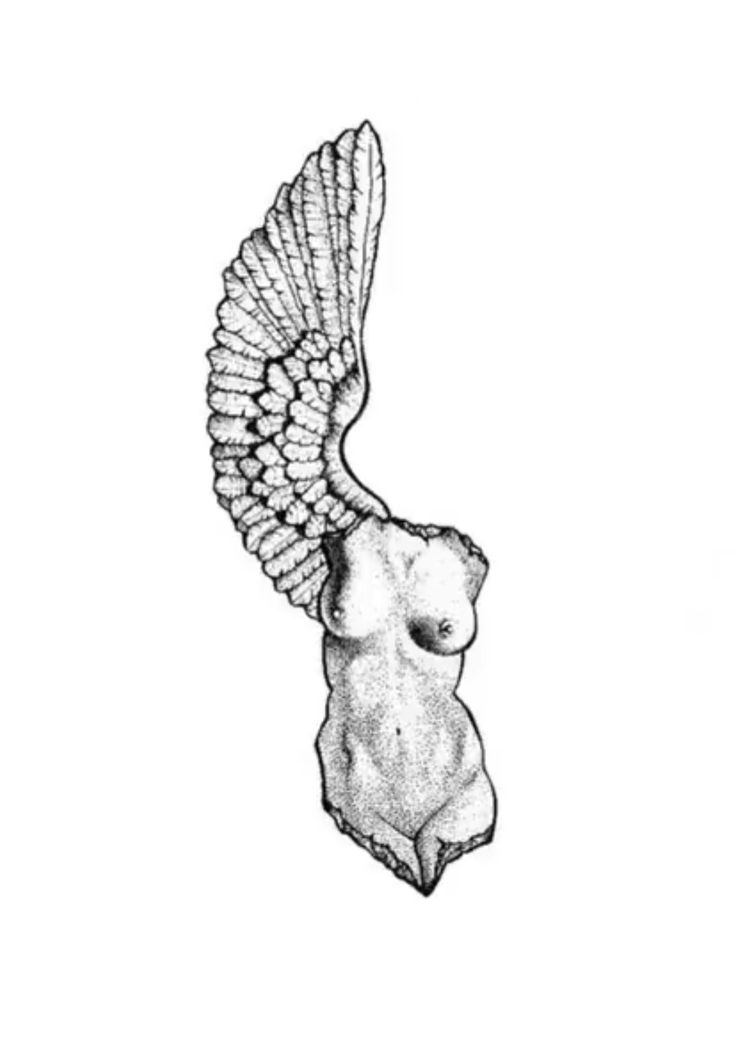 a drawing of an owl with its wings spread