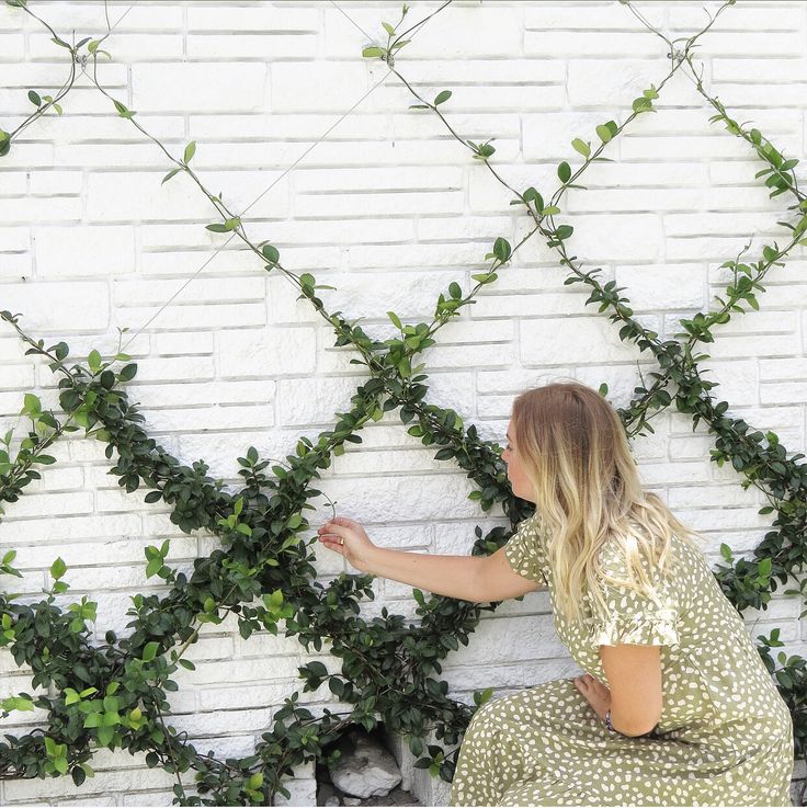 a woman sitting on a bench in front of a white brick wall with ivy growing over it