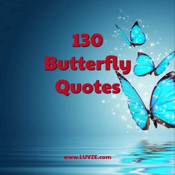 three blue butterflies flying over water with the words'130 butterfly quotes'in red