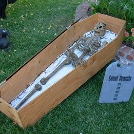 a skeleton in a wooden box on the grass