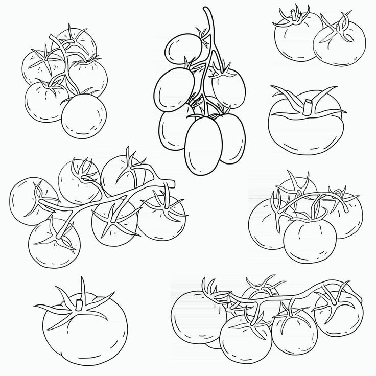 tomatoes and cherry tomatoes coloring page for kids to print out, color on or use