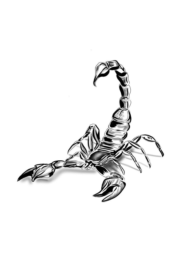 a black and white drawing of a scorpion on a white background with the letter s in it's claws