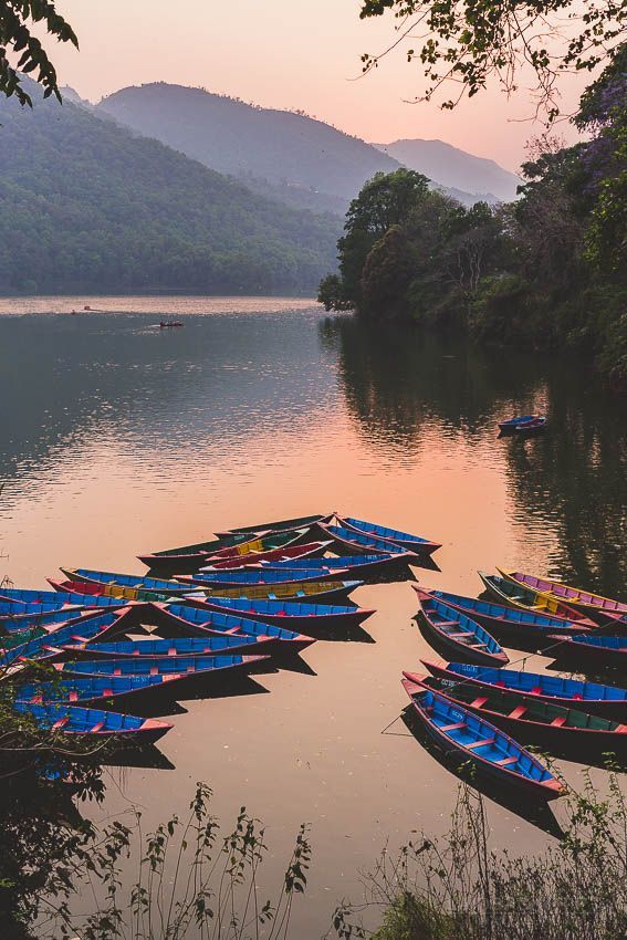 there are many canoes lined up on the water