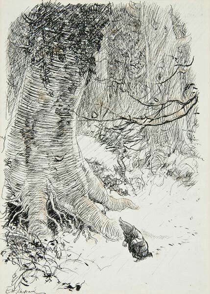 an ink drawing of a tree in the woods