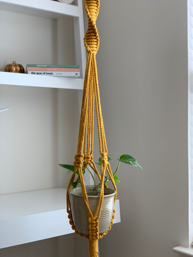 a potted plant hanging from a rope in front of a white shelf with books on it